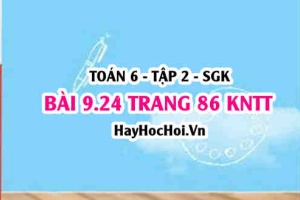 Bài 9.24 trang 86 Toán 6 Tập 2 Kết nối tri thức
